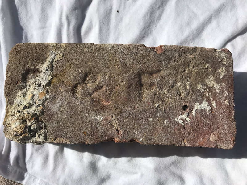 Sayre & Fisher Brick found near Engine House